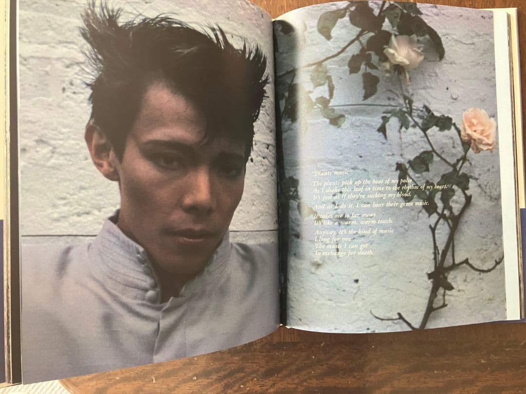 土屋昌巳 Alone 写真集