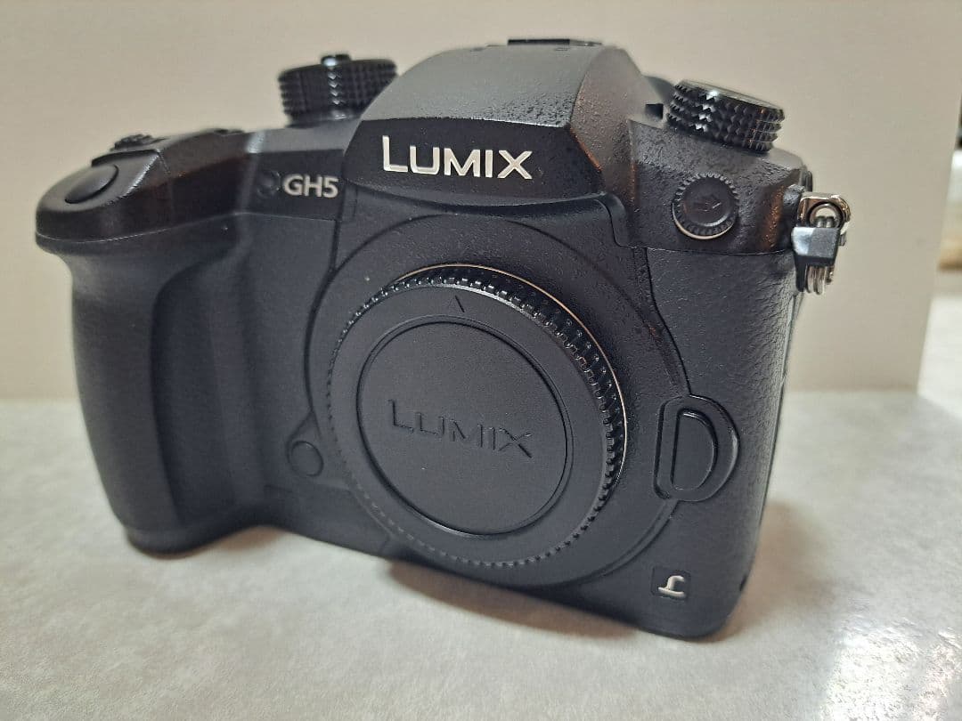 最終価格！LUMIX GH5 ミラーレス一眼 本体　付属品　おまけあり