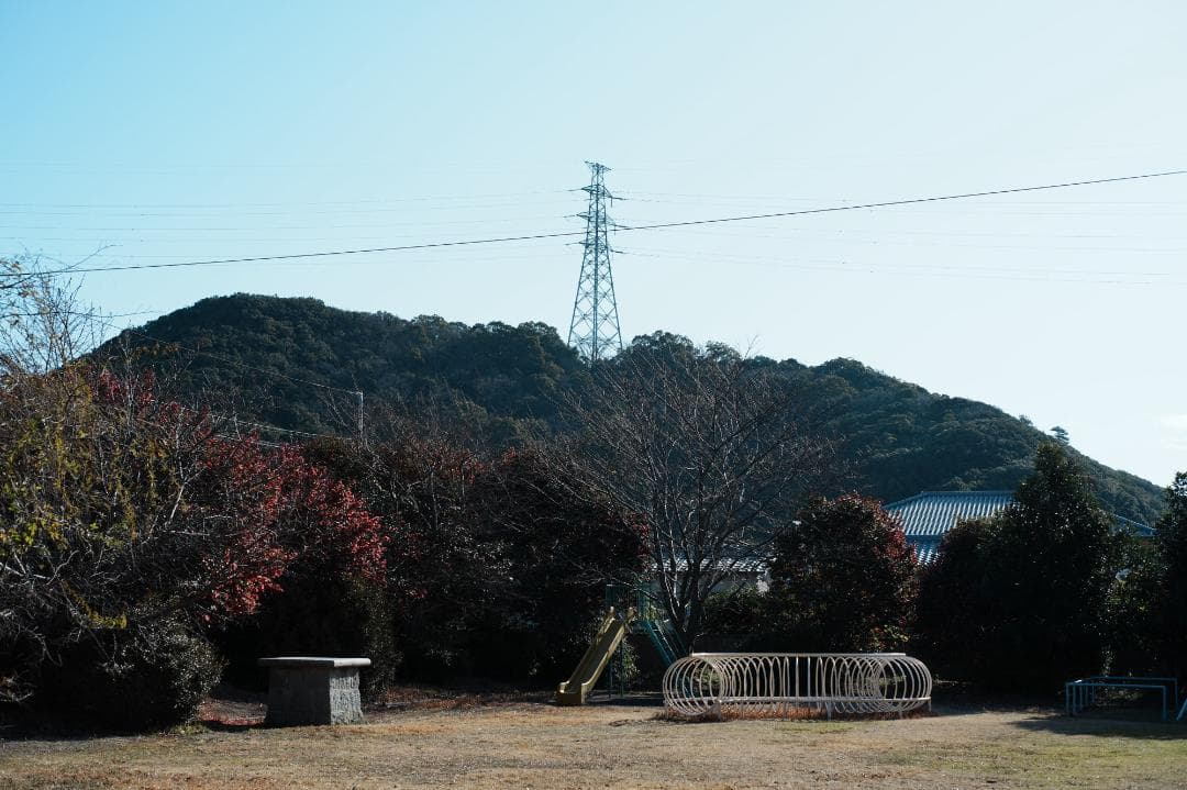 【至高の標準】動作◎ オリンパス Zuiko Auto 50mm F2 397