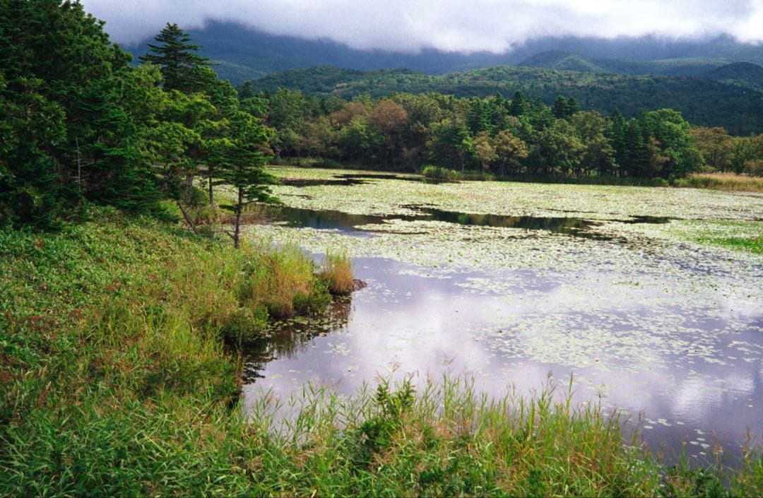 OLYMPUS 35 RC 製備品、テスト撮影済　170019