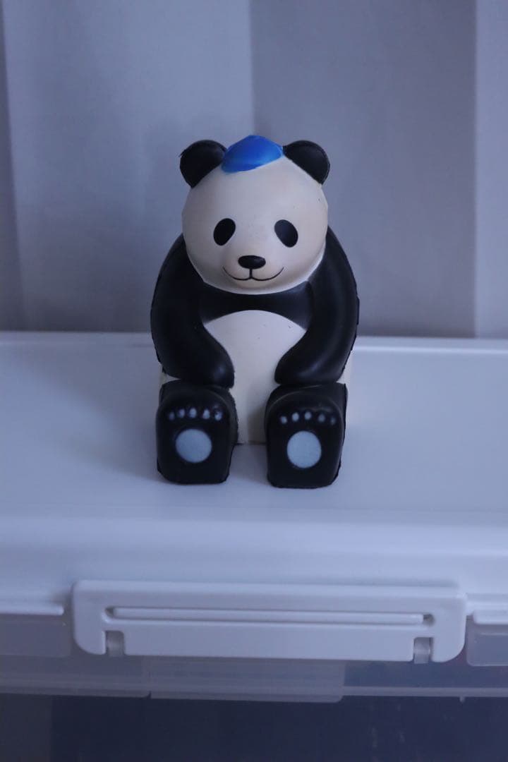 CANON EFS 55-250mm 望遠レンズ