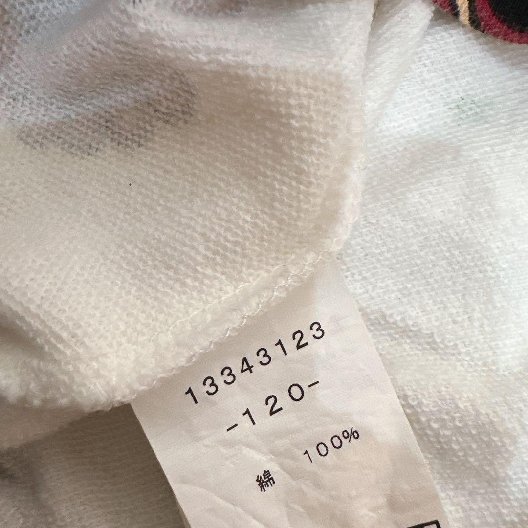 ヒスミニ 120cm まとめ売り