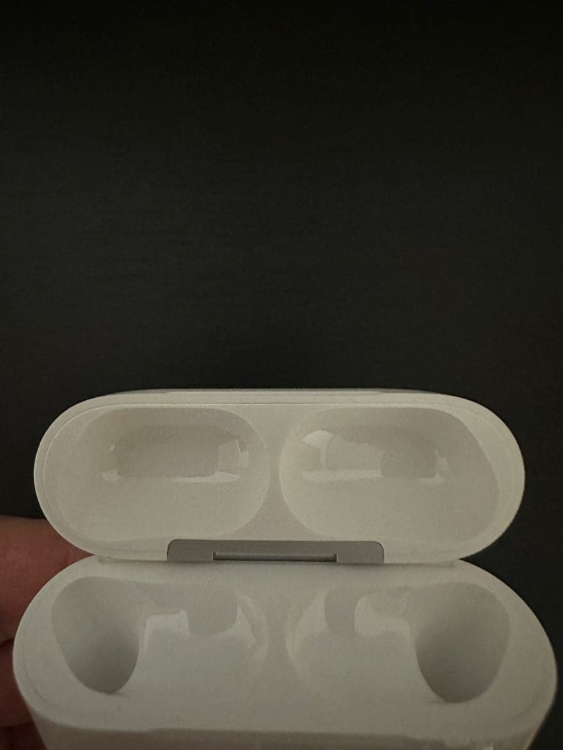 岩*二様 Apple AirPods Pro3 本体