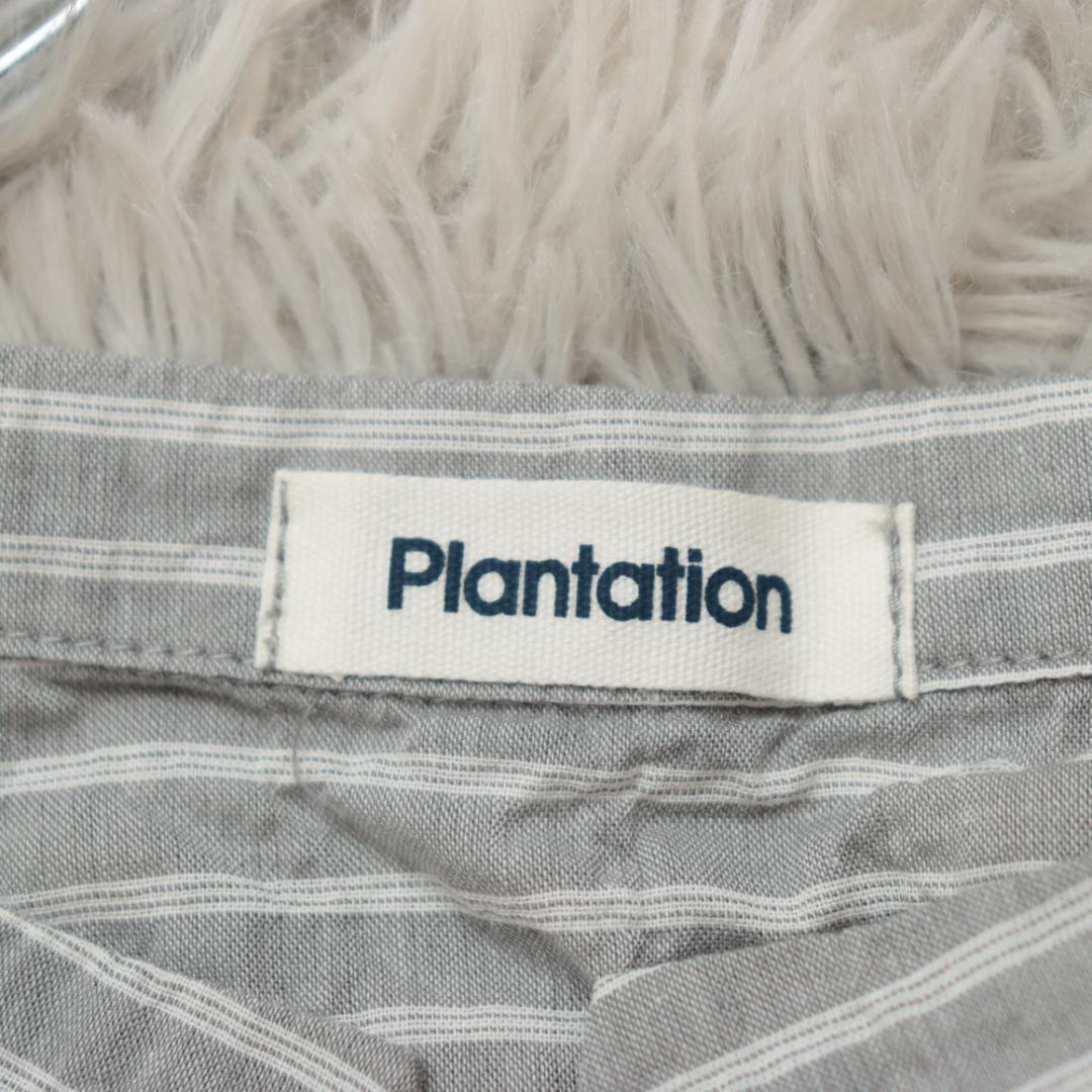 タグ付き未使用✨Plantation✨シャーリングボーダー　シャツ　ブラウス