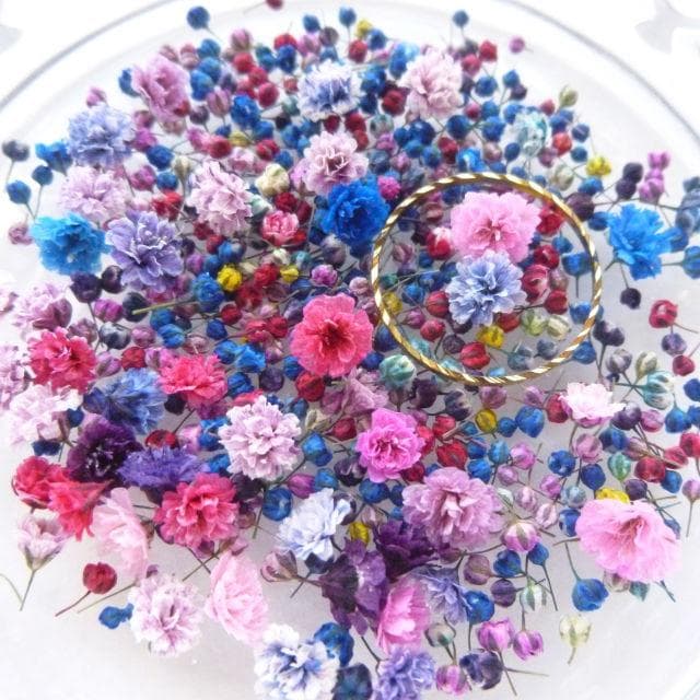 ResinArt❁NICOLE❁様◆【ドライフラワー】かすみ草の蕾 着色（846