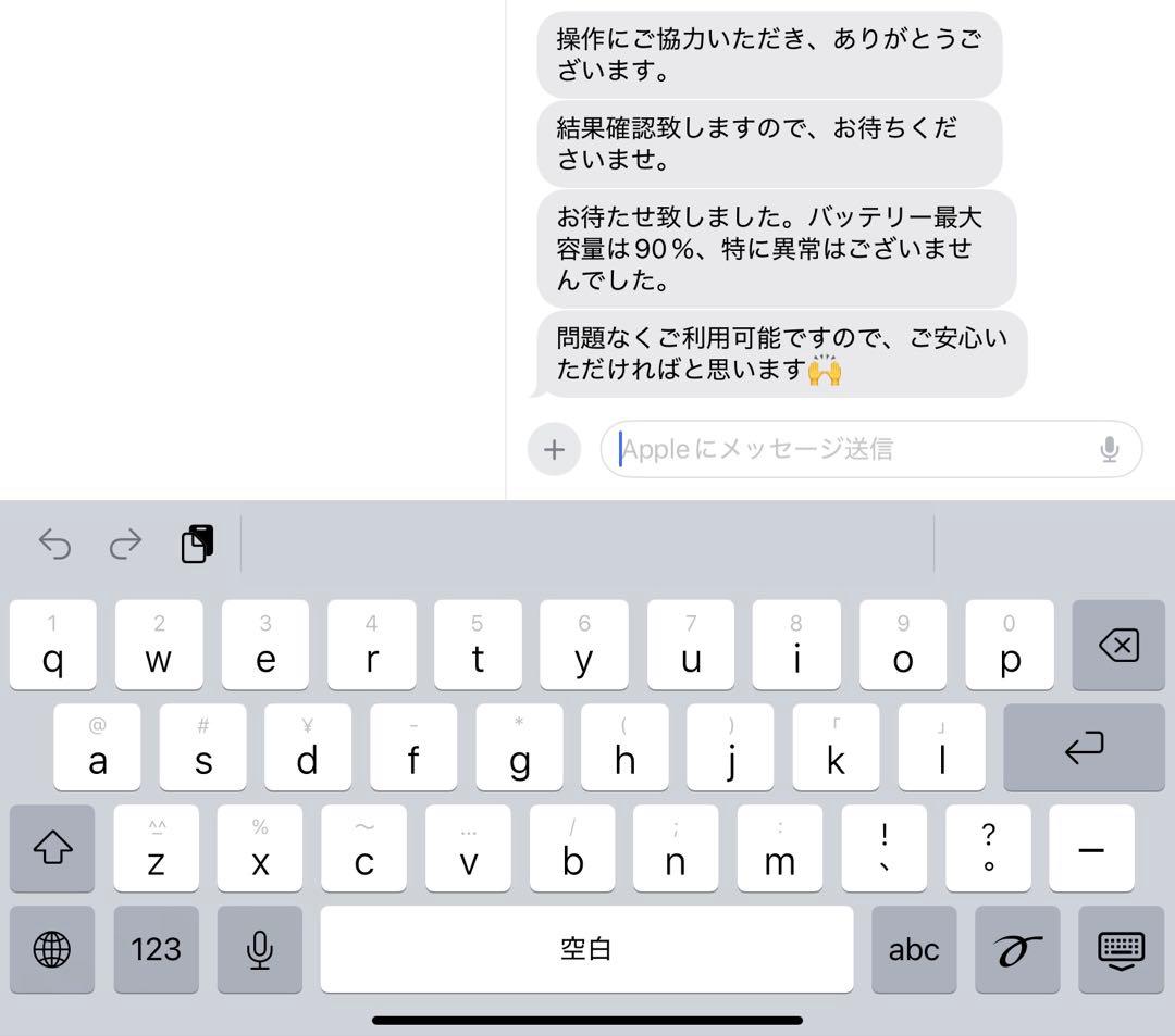 こ*く様 Apple iPad mini スペースグレー 本体＋Apple pe