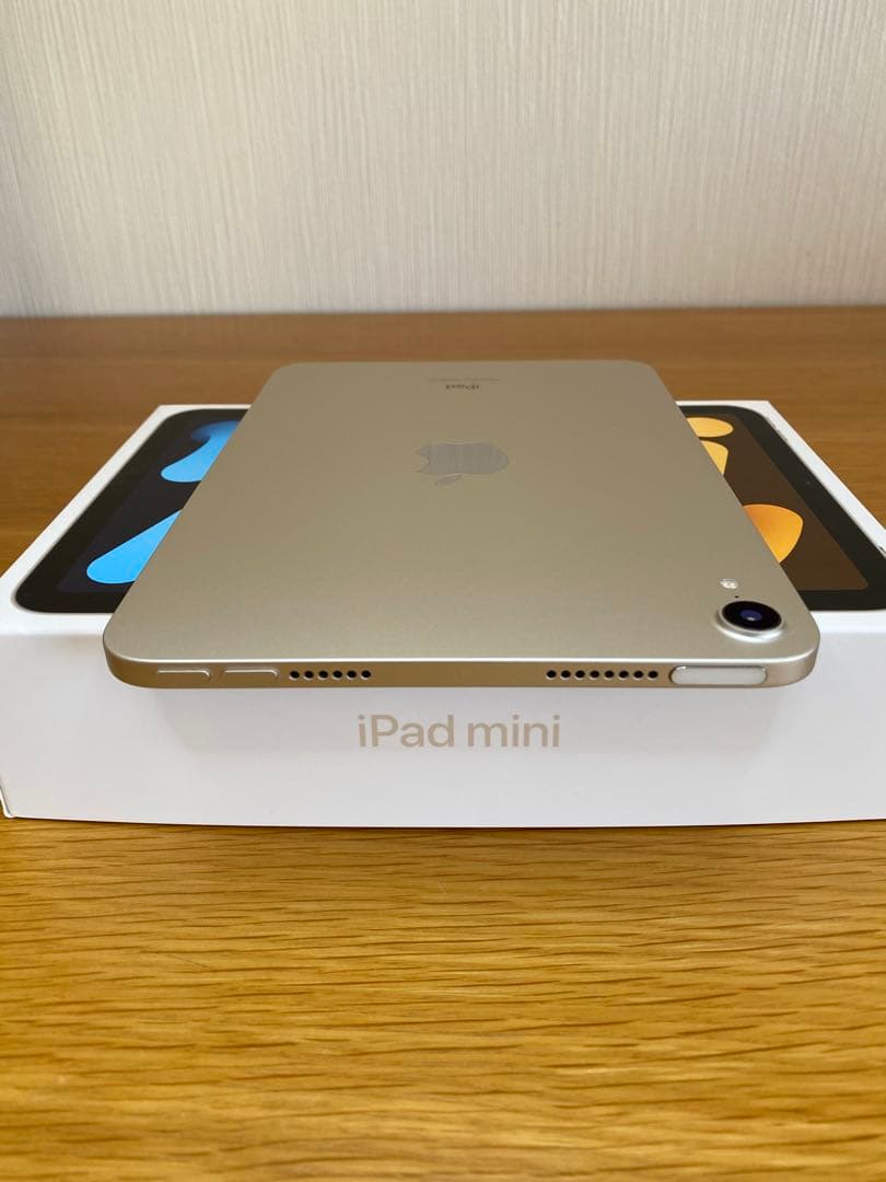 iPad 第6世代(mini) 美品　256GB iPad本体　充電器付き