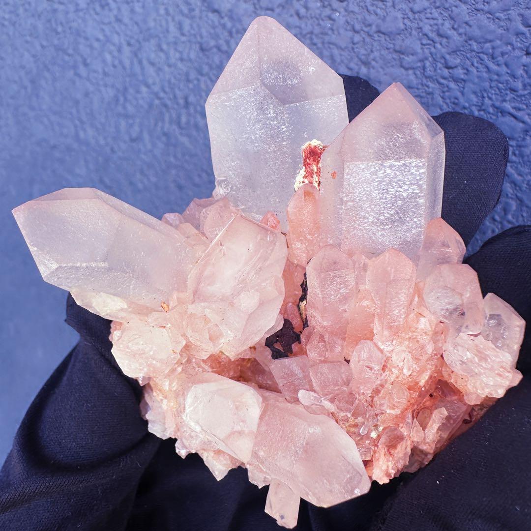 爆アレ❗️可愛いピンク♡超綺麗マダガスカル産パイナップルピンククラスターA1470