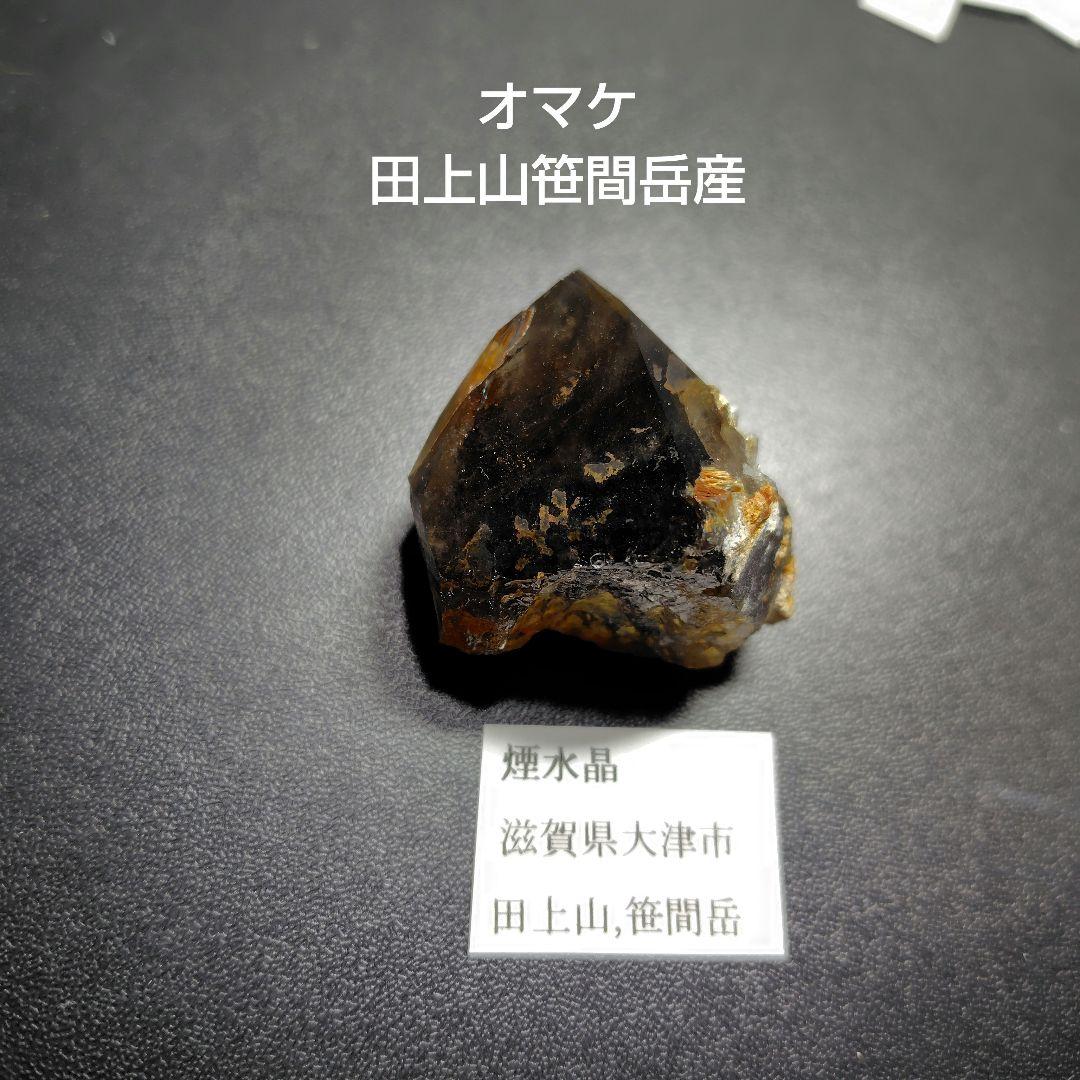 こたちゃん日本産水晶