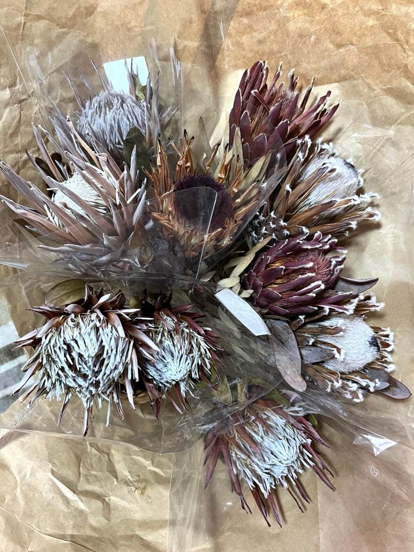 ドライフラワーネイティブフラワーセット