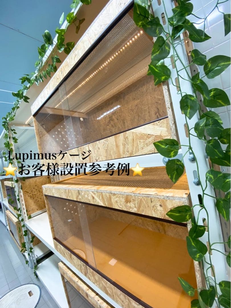 爬虫類ケージ　爬虫類飼育ケージ　90×45×45サイズ　天井金網仕様
