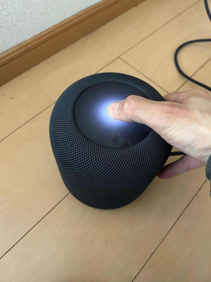 【ジャンク品】Apple Pod 第2世代 ブラック 箱付き
