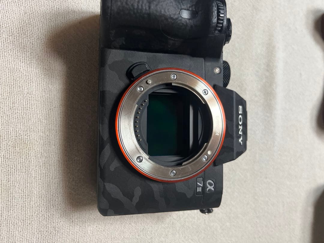 【一レフ始めたい方必見】SONY α7Ⅲ