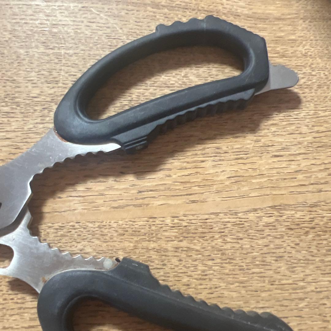 BUCK ステンレススチール はさみ レザーケース付き