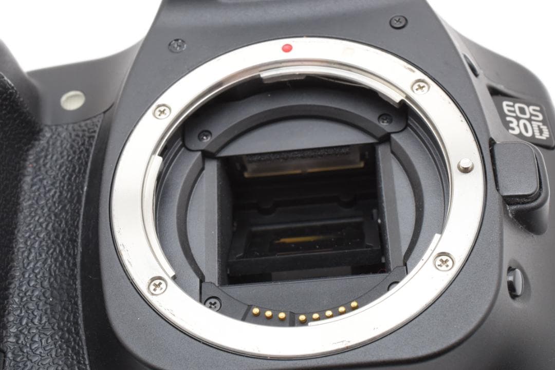 CANON EOS 30D+EF 35-105mm F3.5-4.5 カメラ