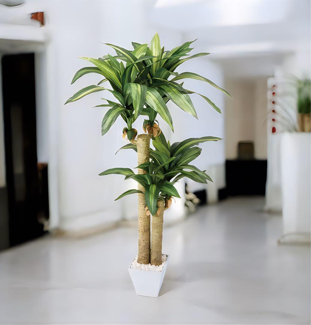 光触媒　人工観葉植物　ウォールグリーン　フェイクグリーン　幸福の木マッサン