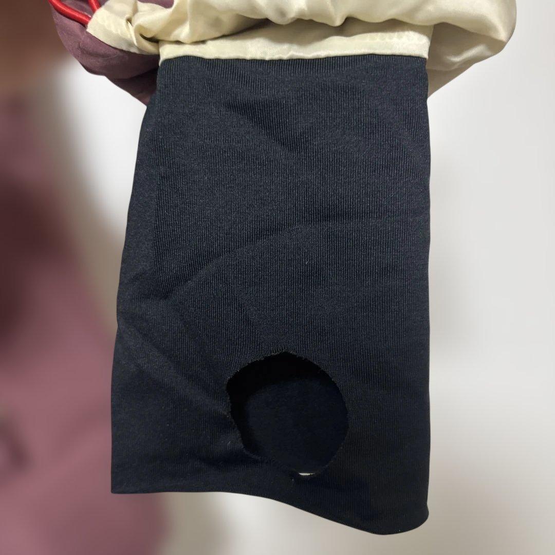 BURTON LIVING LINING ゴアテックスジャケット M ピンク