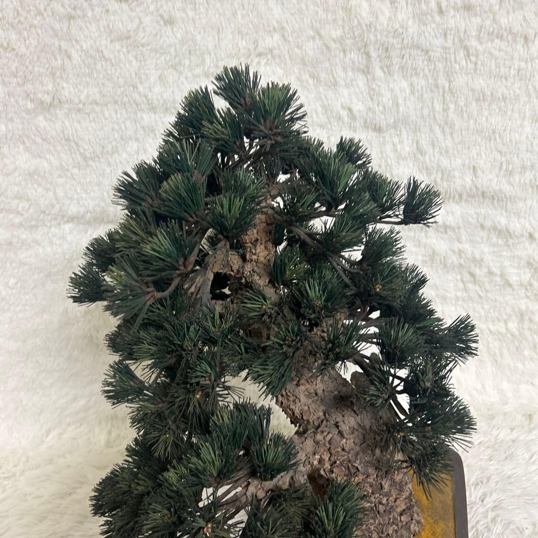 【美品】造花 盆栽 レプリカ 松　ビッグサイズ