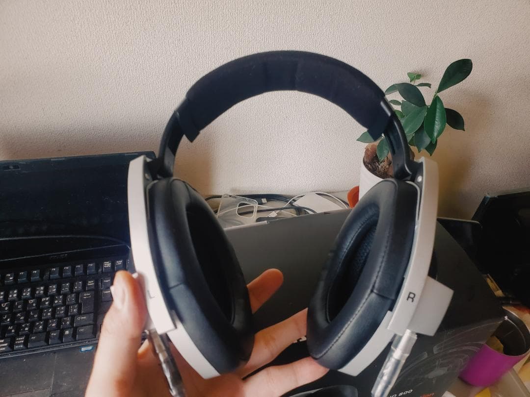 Sennheiser HD800(最終値下げ)