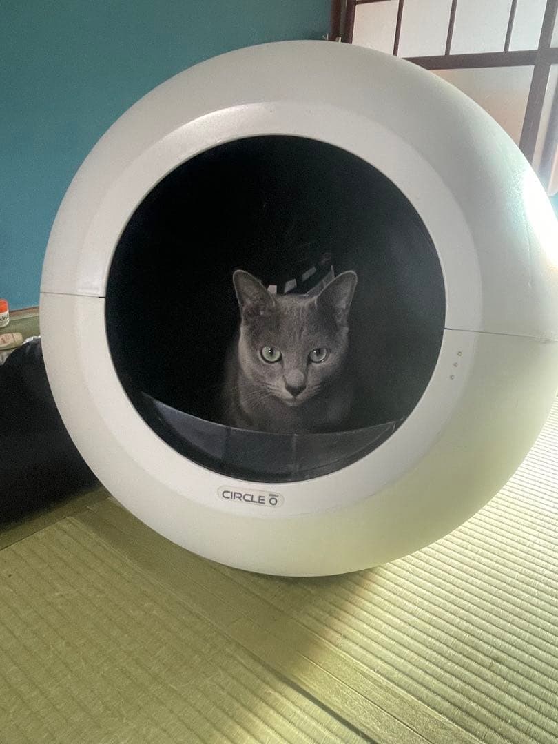 CIRCLE 自動クリーニング 猫用トイレ ホワイト