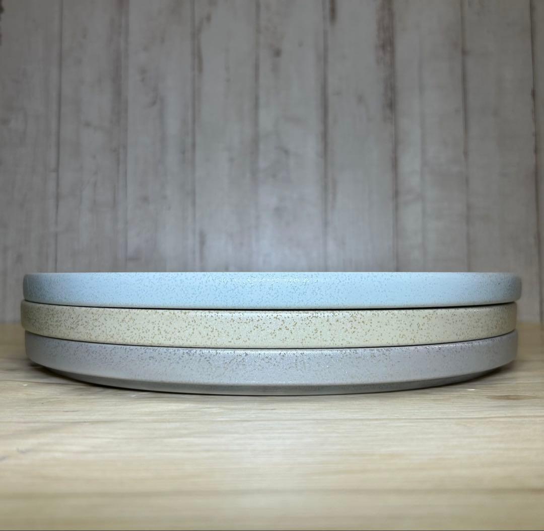 ラスター釉色変わり26cm浅口切立皿(3枚)