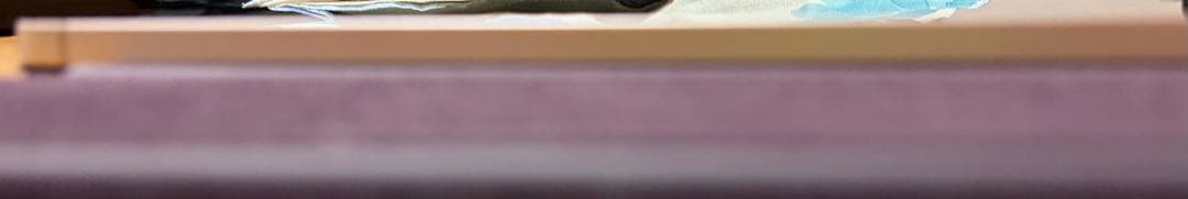 iPad mini Wi-Fi + Cellular 64GB ピンク