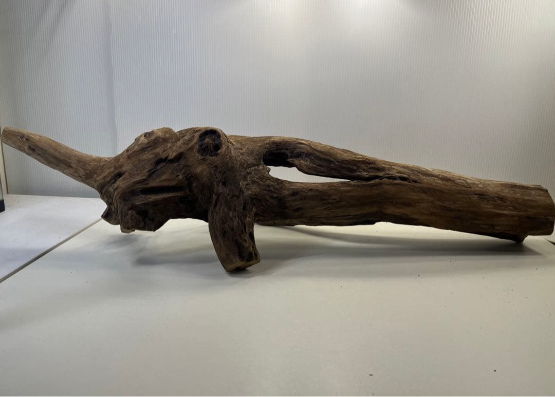 R71特大流木 アク抜き済み流木 爬虫類シェルター 登り木 インテリア 生け花