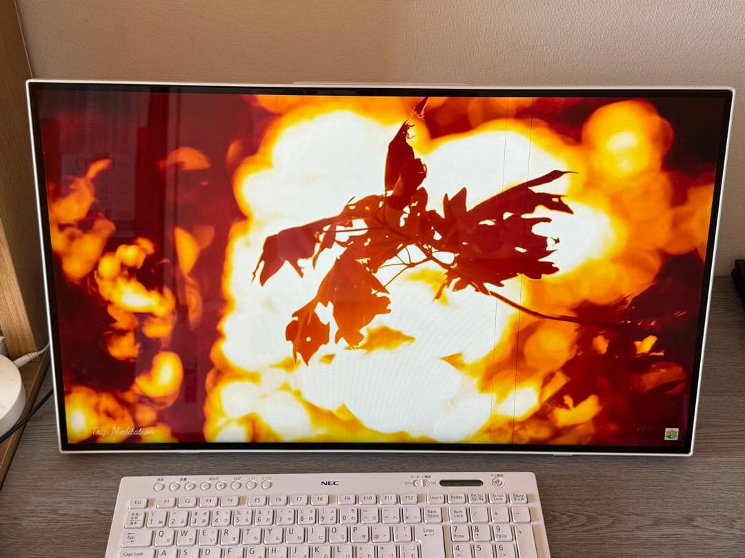 NEC一体型PCHA500/RAWi5/8GB/1.5TB office2019