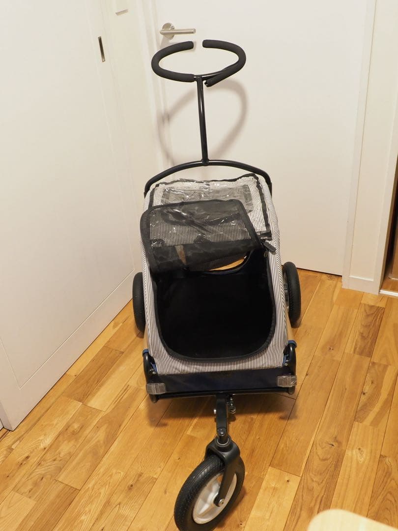 エアバギー トゥインクル マンダリンブラザーズ 限定カラー