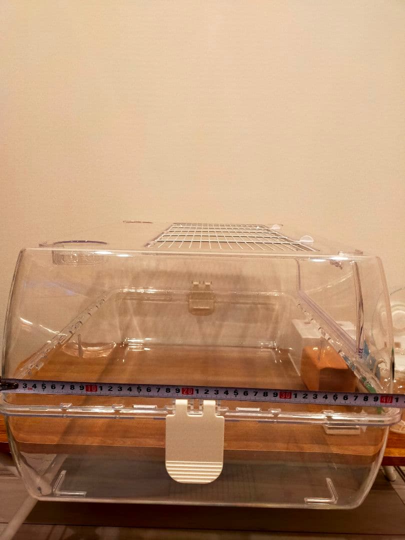 ルーミィ60 ベーシック 飼育セット