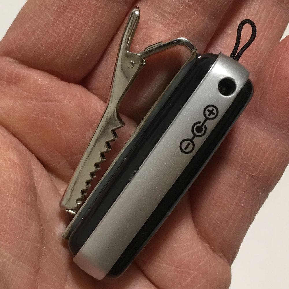 音声拡聴器 伊吹電子 iペンダント 10個セット 充電式 補聴 敬老の日