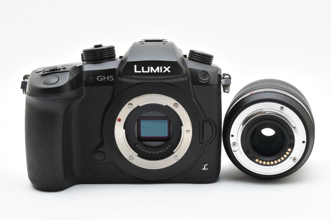 ■ショット数3451回■LUMIX DC-GH5 標準ズームレンズキット