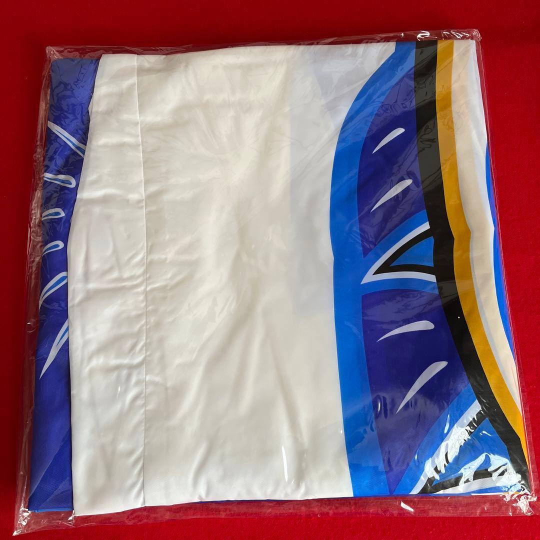 鯉のぼり　5m青鯉