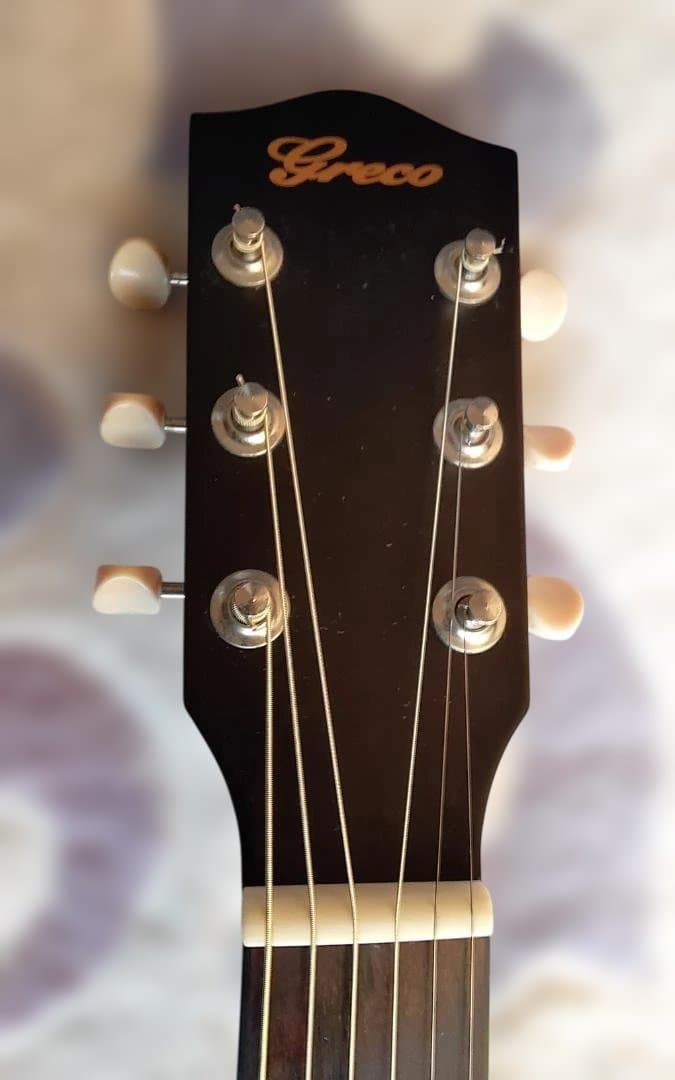 最終大幅値引き‼️美品❗Grecoグレコ　GAL-30P　エレアコ