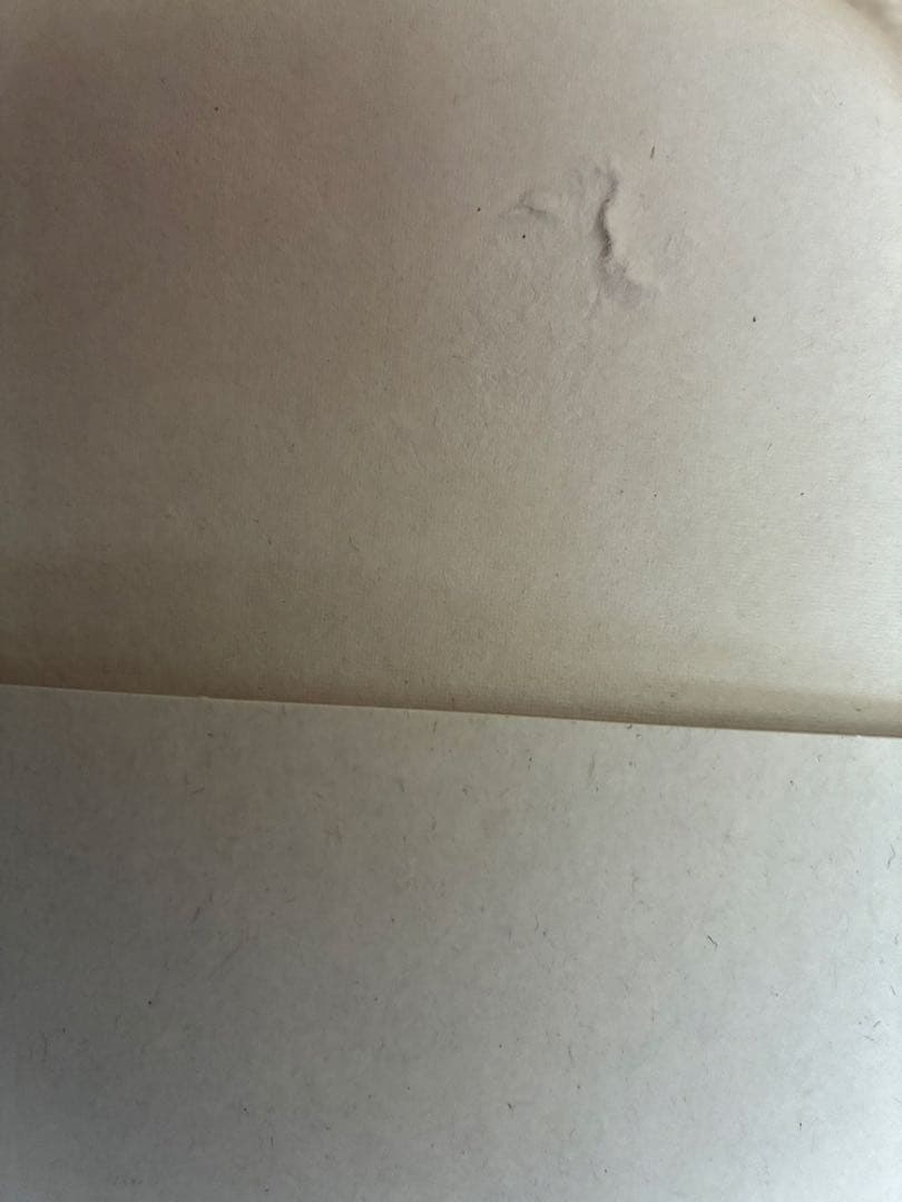 ソニー(SONY) ポータブルシアターシステム HT-AX7