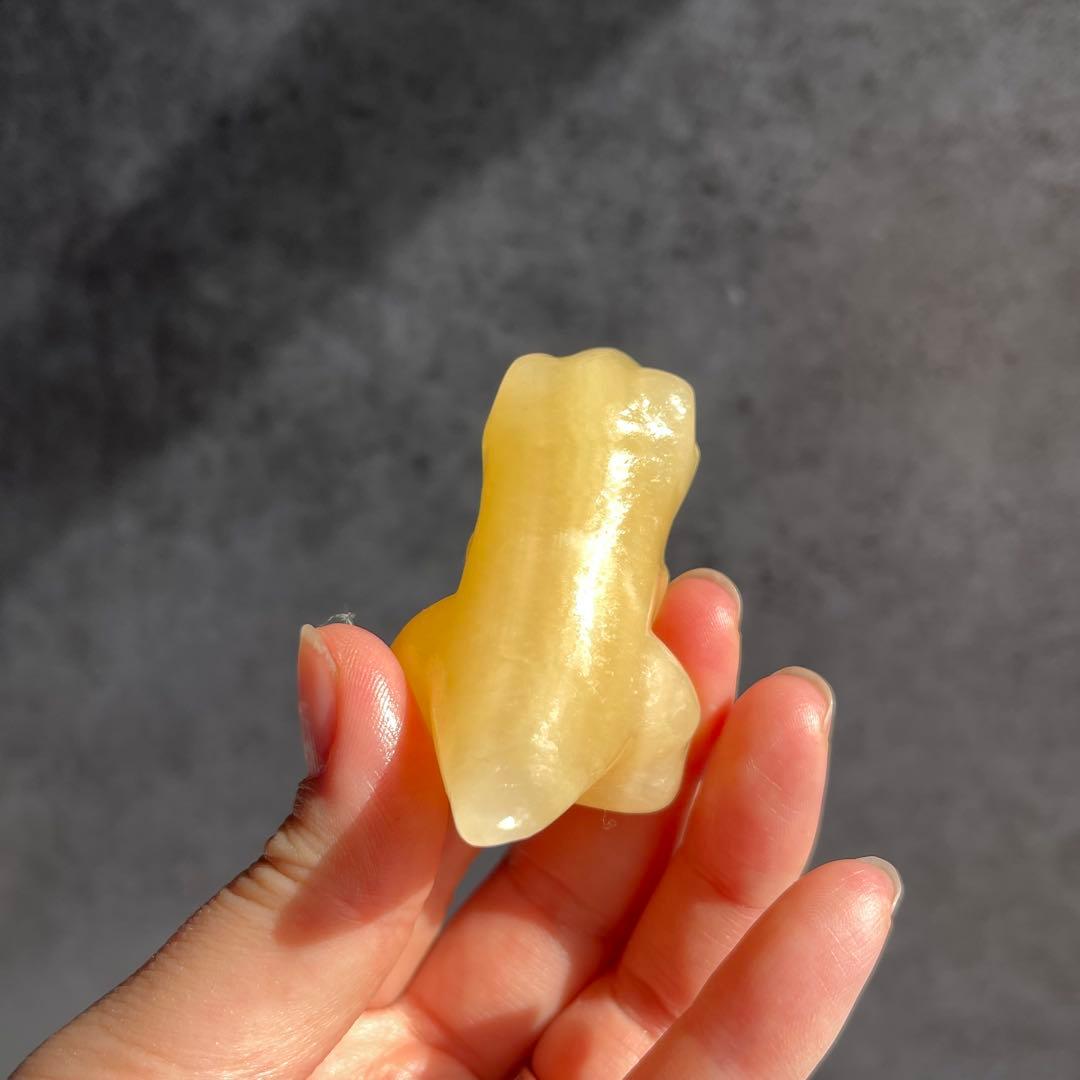 イエローカルサイト 恐竜