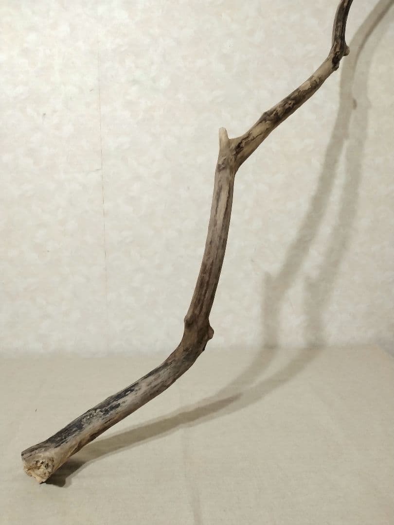 【希少】ガーデニング・DIY向け 超特大サイズロング流木 約160cm