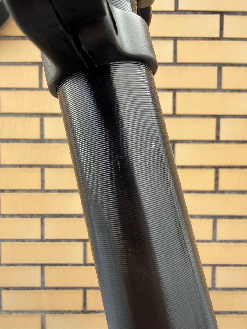 【手渡し割引】 DAHON Visc EVO 2025 マットブラック