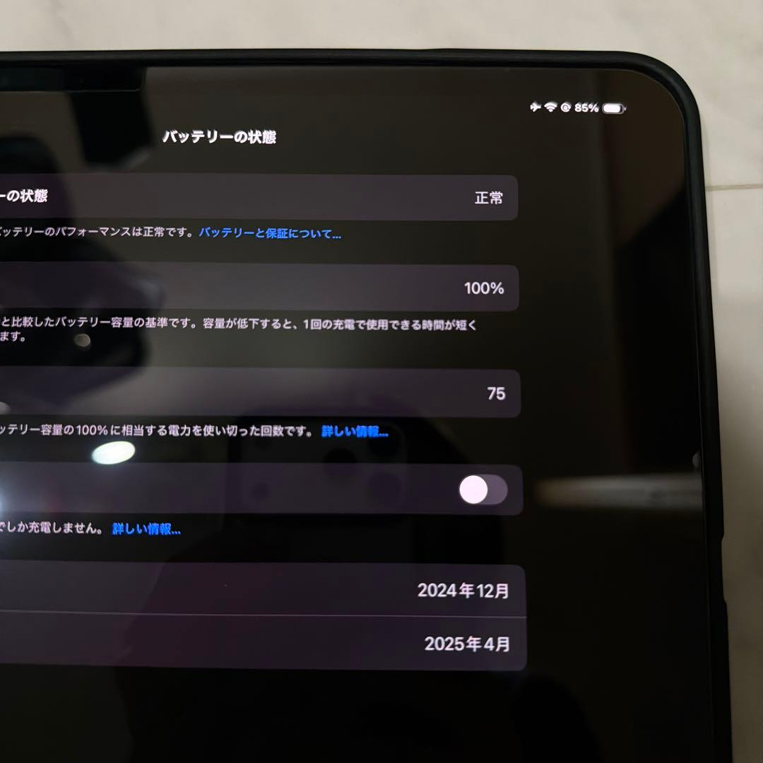 iPad Pro 13 インチ (M4) Wi-Fi 256GB ブラック