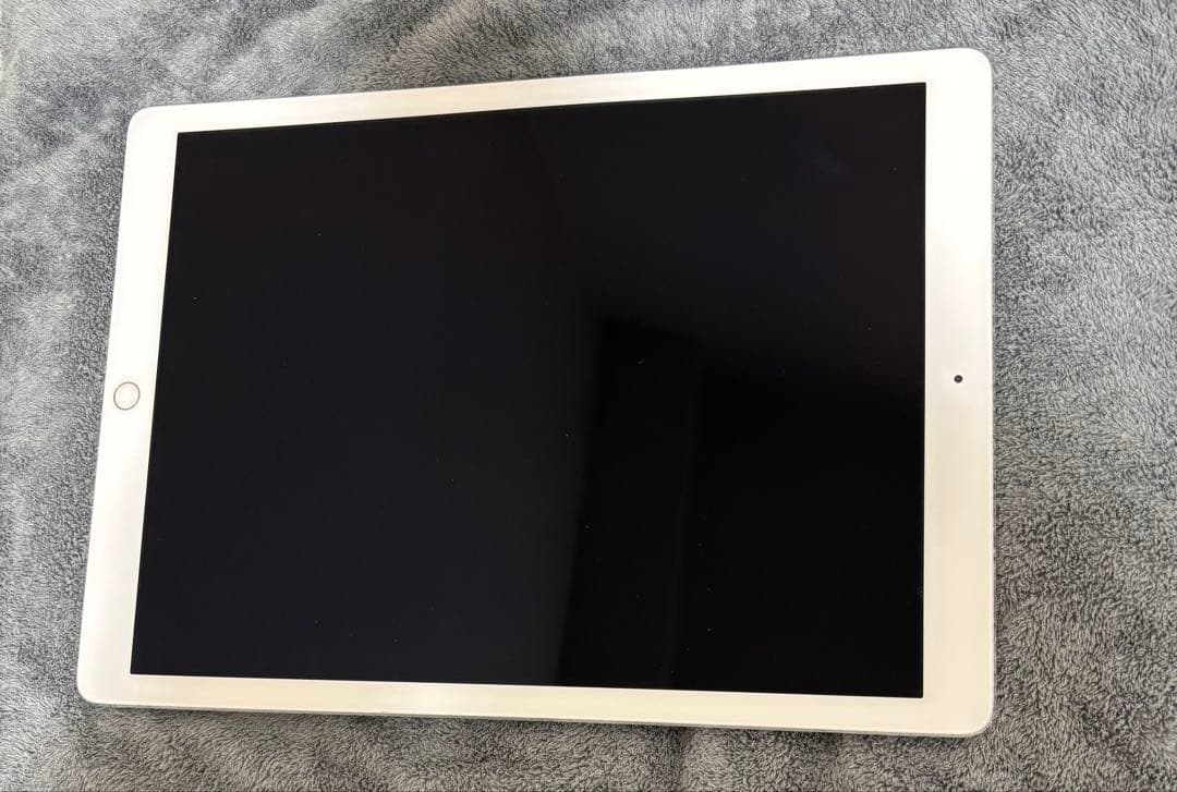 iPad Pro 12.9インチ 第2世代256GB Wi-Fiモデル 本体のみ