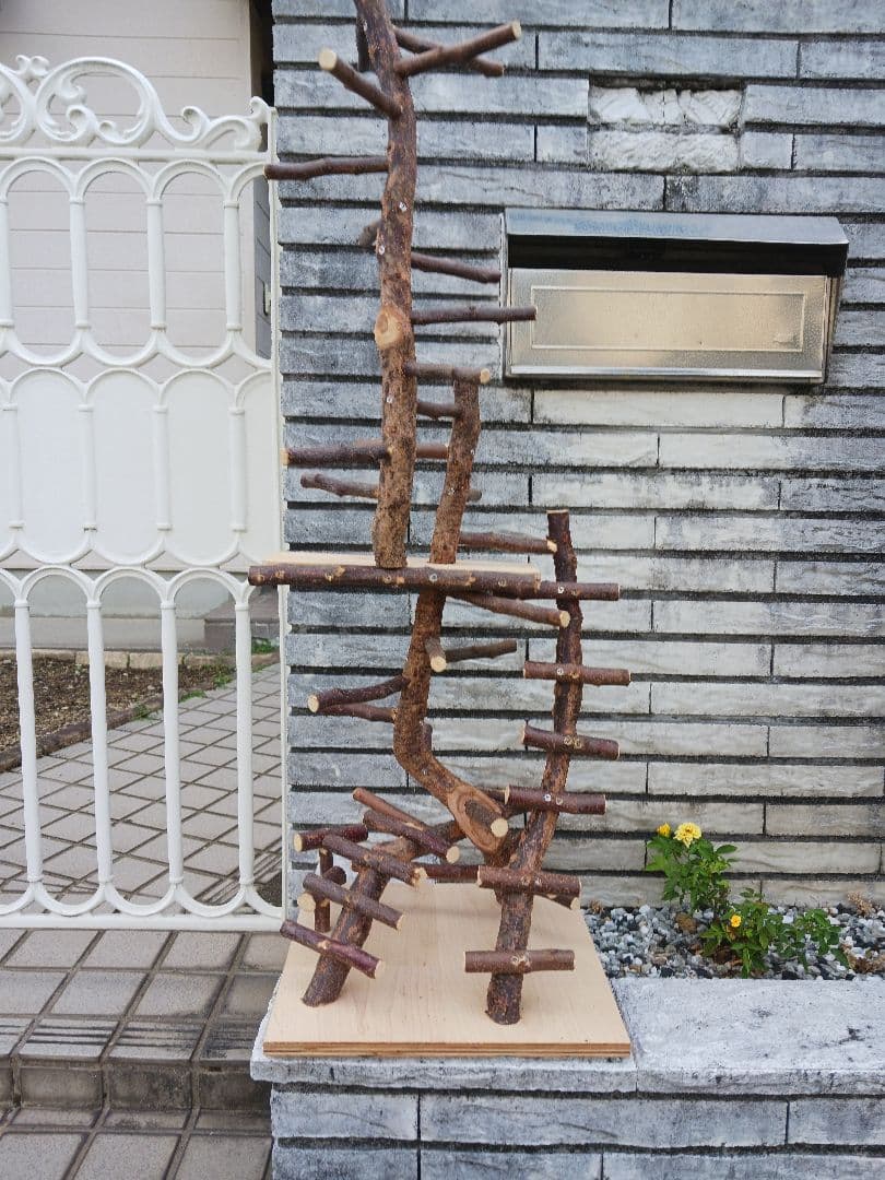 バードアスレチック バードアスレチックジム 止まり木、小鳥 No.911