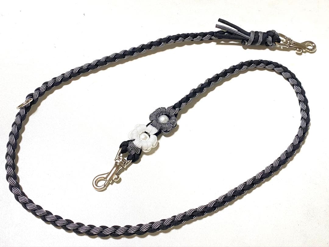 るいるい₍₍ (ง ˙ω˙)ว ⁾⁾ ☆ ショートリード