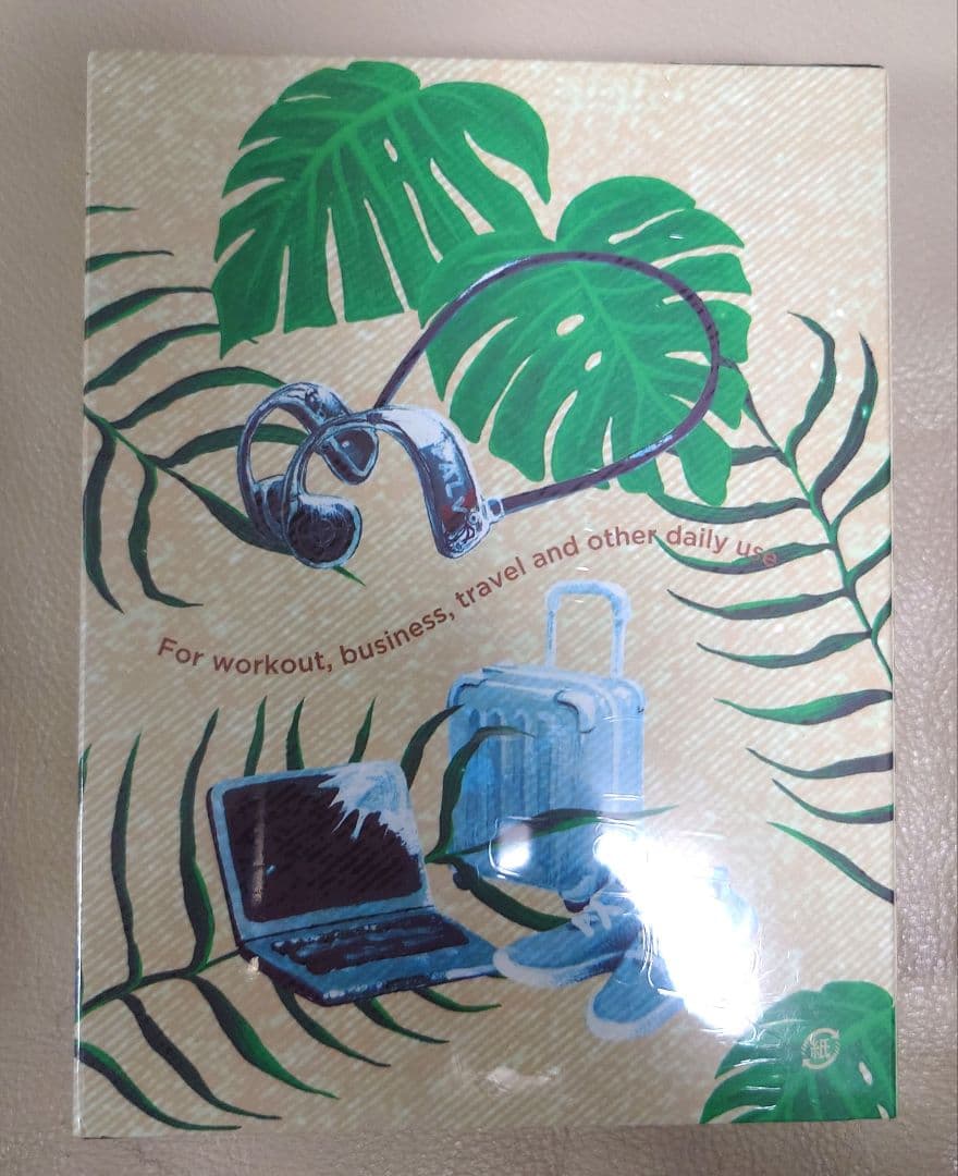 【新品・未開封】PALV　 骨伝導イヤホン　➕️専用ケース