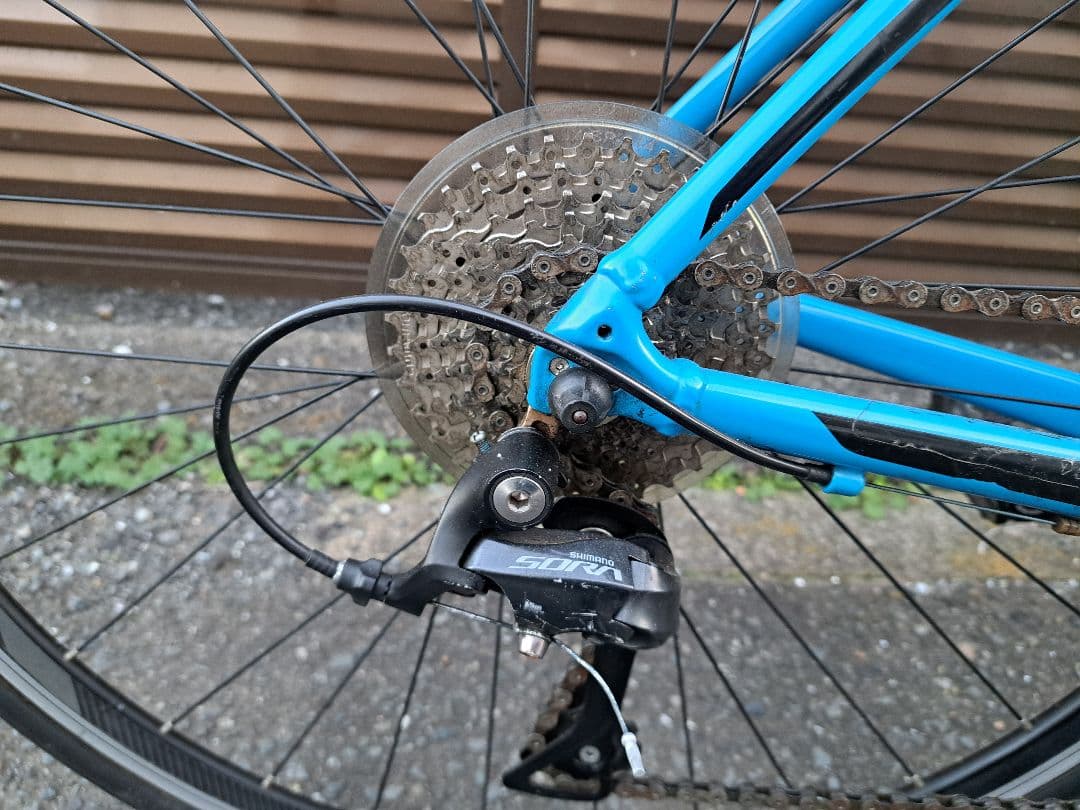 giant contend1 2019 ブルー