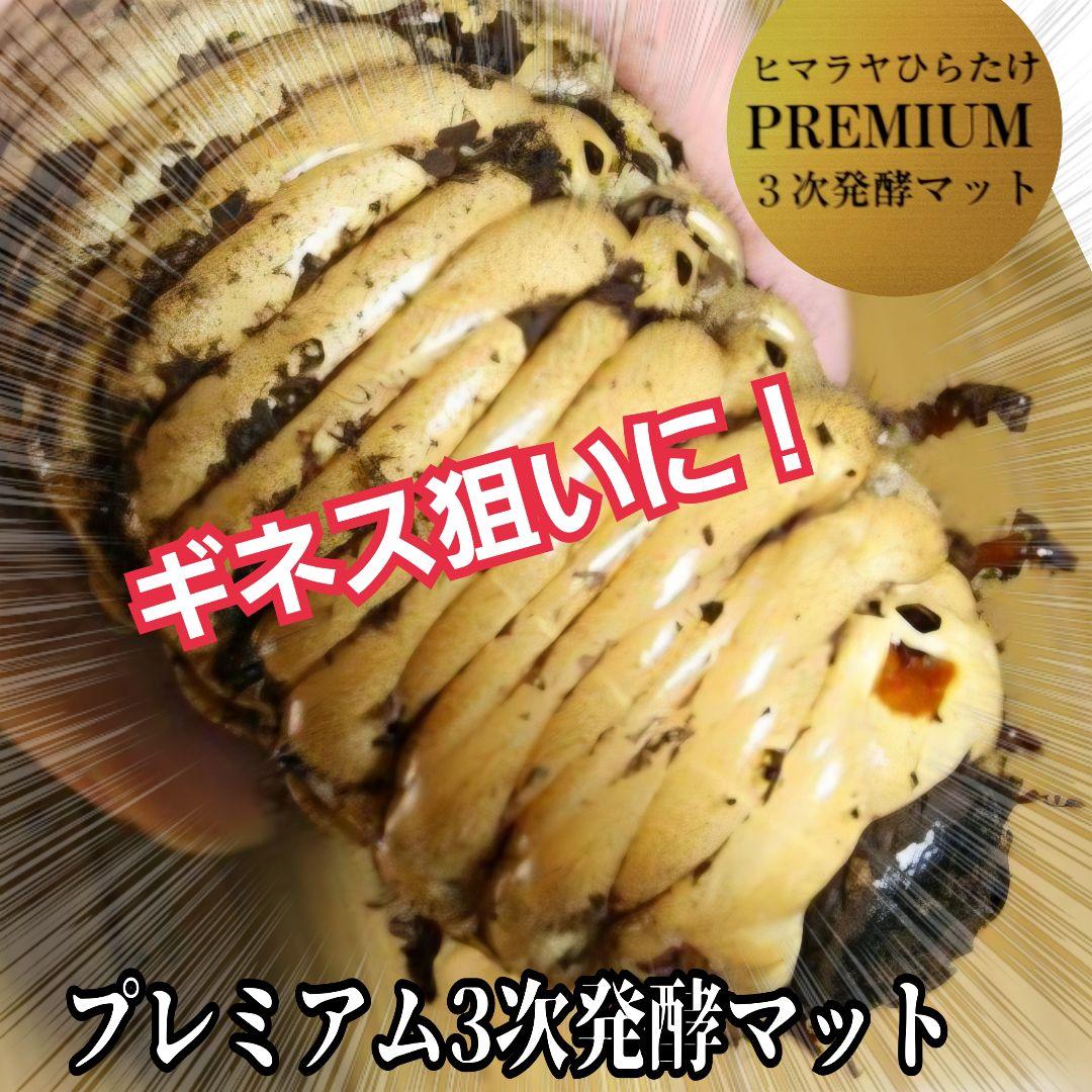 幼虫がビッグサイズに！プレミアム3次発酵カブトムシマット【60L】特殊アミノ酸入