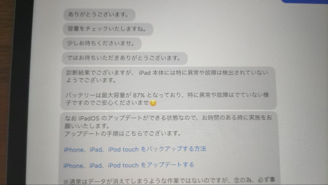 os最新18.6.2 iPad Pro 11インチ Cellular 64GB
