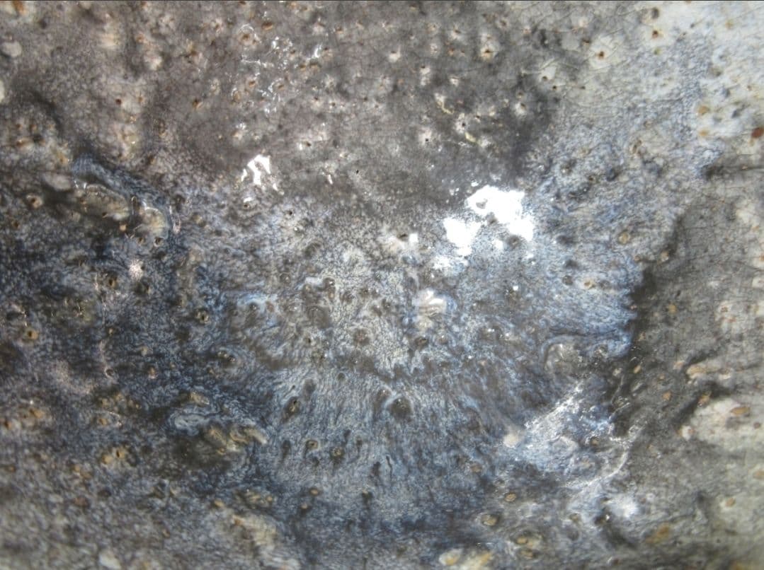 真作保証 11代 田原陶兵衛 (忠太郎) 自作 稀少品 萩窯変茶碗 山口県 長門