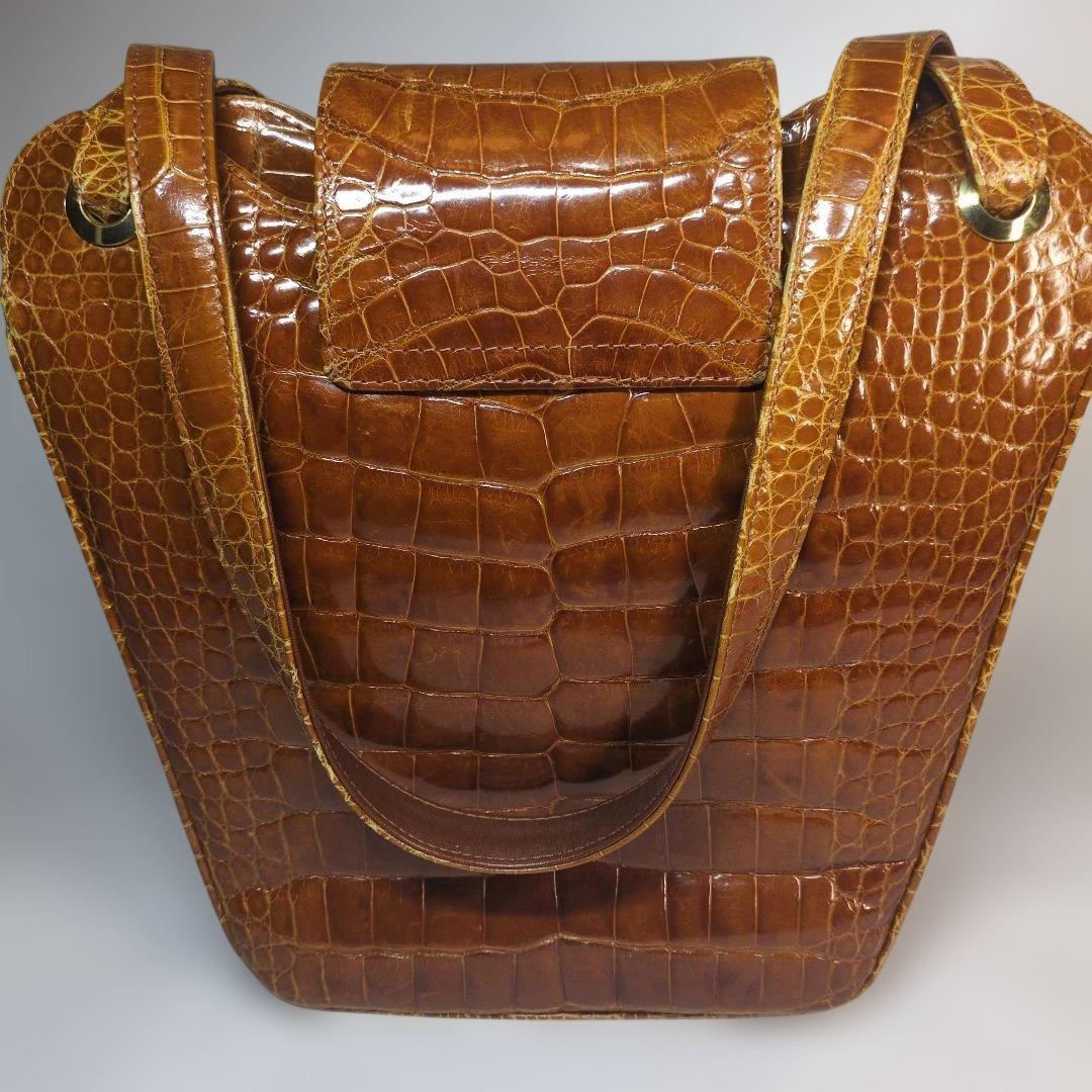 シャイニング　クロコダイル　バッグ　ブラウン　セット　サンタゴスティーノ