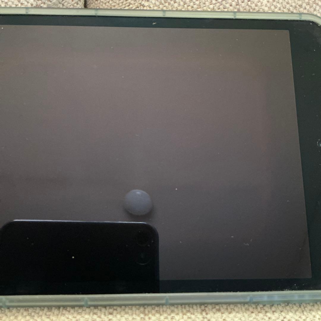 iPad mini5 セルラーモデル　256GB （touchID利用不可）