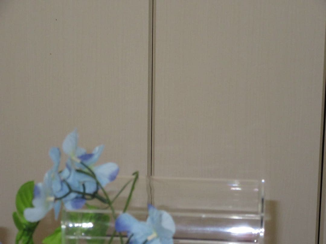 Canon PowerShot SX610HS PC2191 充電器　動作品